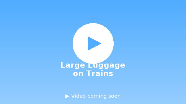 Managing Large Luggage on Japanese Trains